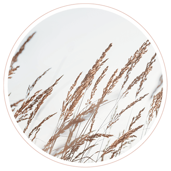 image_02_contact https://amanasa.lgc.web.id/wp-content/uploads/2022/02/image_02_contact.png